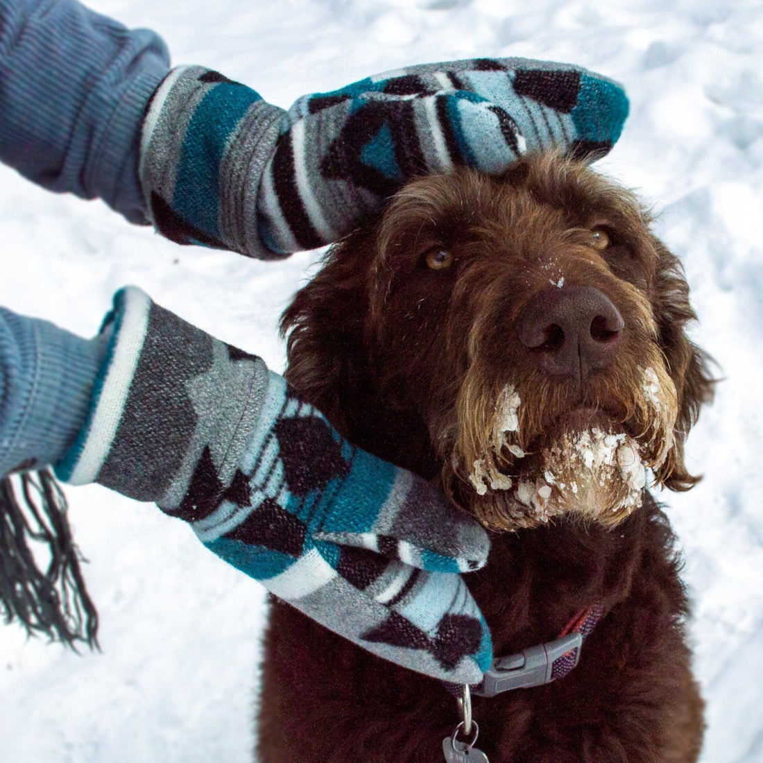 Storm Mittens